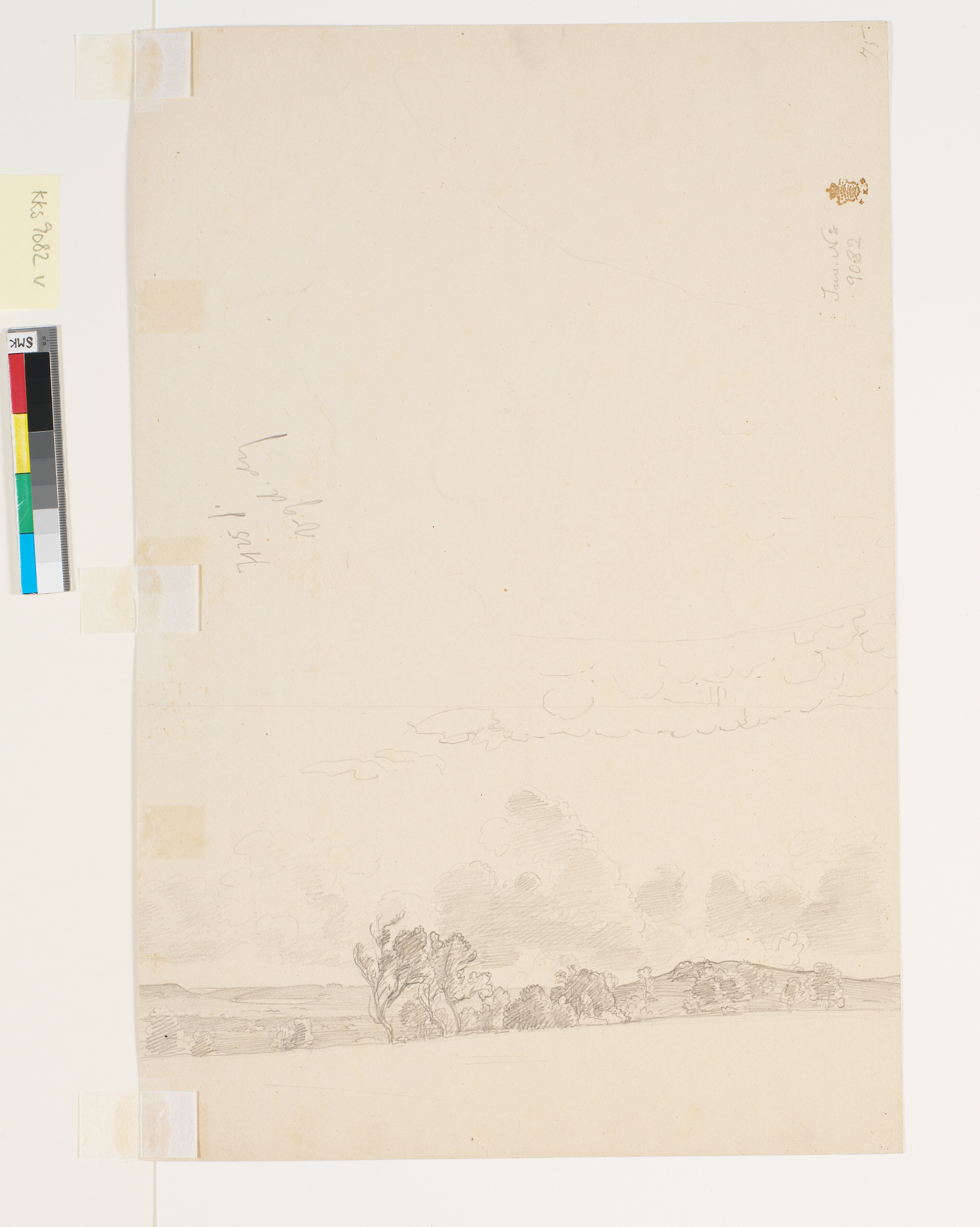 Bakket landskab med forblæste træer.